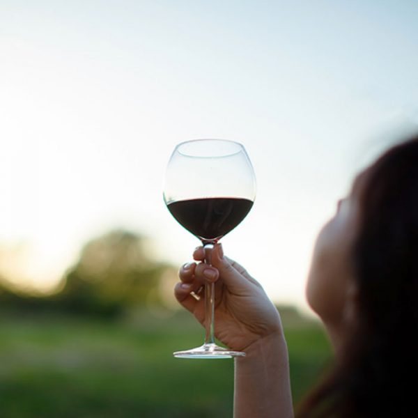 Train Your Palate to Taste Wine Like a Pro